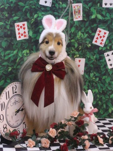 20250430ノアくん